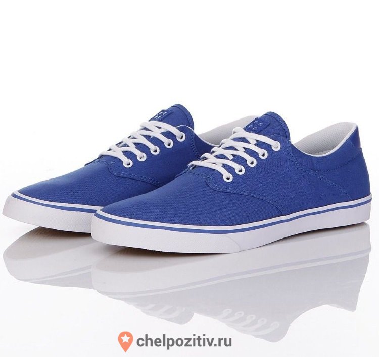 Gravis Blue Кеды GRAVIS FILTER BRIGHT BLUE купить в интернет-магазине POZITIV ...